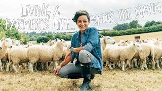 British Sheep Farming Living A Farmers Life For The Day [upl. by Aletha]