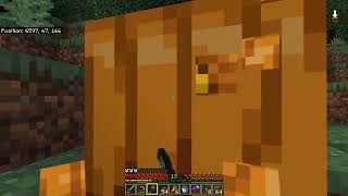 Jellys Minecraft World Ep5 [upl. by Nogam]