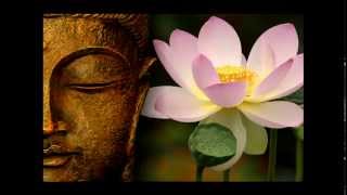 Amitabha Buddha Mantra  Namo Amituofo 南無阿彌陀佛 聖號 [upl. by Annekahs]