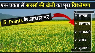 सरसों की खेती कब और कैसे करें  Sarso ki kheti  Mustard Farming  Mustard Cultivation  In India [upl. by Heise]