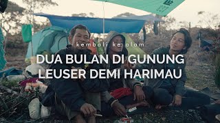 Dua Puluh Kali Bolakbalik Gunung Leuser Pernah Jumpa Harimau [upl. by Ellemrac]