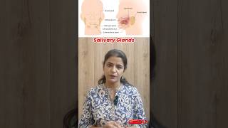 Salivary Glands Explained Types Functions and Ducts  Parotid Submandibular amp Sublingual Glands [upl. by Etsirk260]