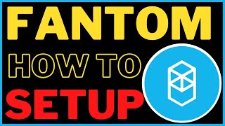 HOW TO SETUP FANTOM ON METAMASK amp BRIDGE FUNDS [upl. by Janyte353]