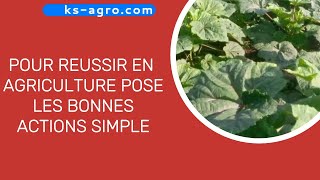 comment entreprendre dans lagriculture Il faut forcement trouver réponse a ces 8 questions [upl. by Eizzil]