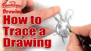 How to trace a drawing [upl. by Arta]