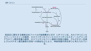 CDPコリン [upl. by Aamsa]