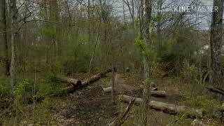 Hiking Yellowwood State Forest Lake Trail Part 1 [upl. by Mcnutt357]