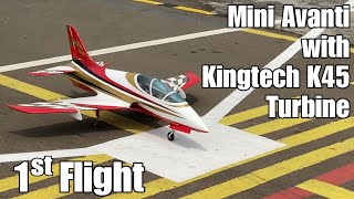 Maiden Flight Mini Avanti [upl. by Annailuj640]