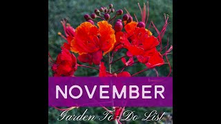 November 2024 Garden Calendar and QampA [upl. by Christianna]