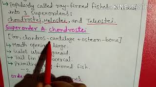 Class osteichthyes classification in Hindi2 [upl. by Yona]