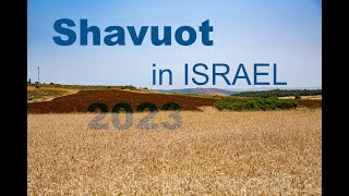 Shavuot in Israel  2023 [upl. by Renaxela]