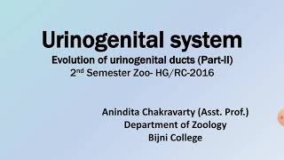 Evolution of Urinogenital ducts Part 2Bijni CollegeAssam [upl. by Palladin]