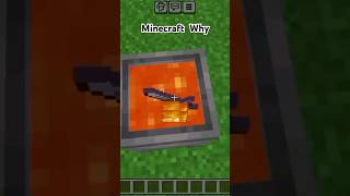 Minecraft Logic  minecraft viral shortvideo entertainment [upl. by Chaffinch]