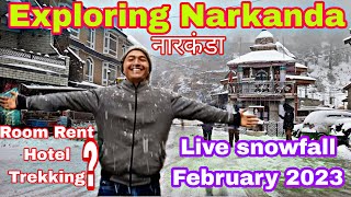 Exploring Narkanda deepali5558  February 2023 Live Snowfall in Narkanda  Legends on Road [upl. by Assilen]