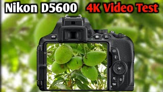 Nikon D5600 4K Video Test Nikon D5600 Video Quality Nikon D5600 DSLR Camera Review [upl. by Ilamad]