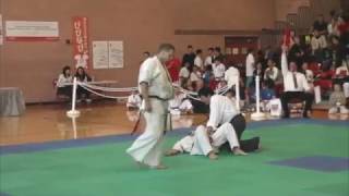 2017 WORLD OYAMA KARATE FIGHTERS CUP MENS LIGHTWEIGHT FINAL TYLER [upl. by Honniball]