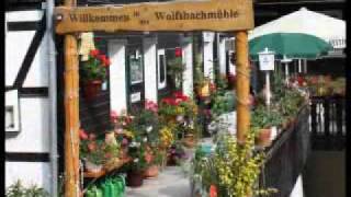 Urlaub im Oberharz im Waldgasthaus Wolfsbachmühle  90 GRAD die Band [upl. by Nomaj638]