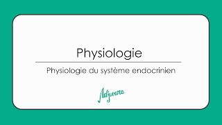 Tutorat physiologie  Physiologie du système endocrinien [upl. by Chelton]