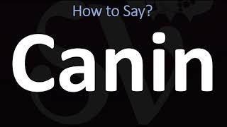 How to Pronounce Canin CORRECTLY [upl. by Delisle153]