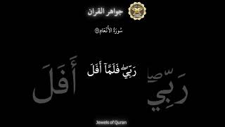 Jewels of Quran Al Anaam 77  جواهر القران [upl. by Shell]