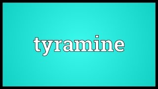 Tyramine Meaning [upl. by Malvino]