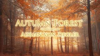 2 Hours of Relaxing Celtic Music  Autumn Forest [upl. by Ricker]