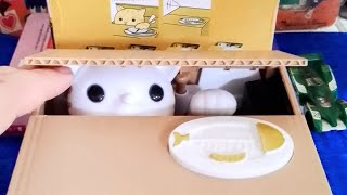 MISCHIEVOUS CUTE CAT 😺 inside the orange 🍊 coin box day7 satisfying asmr live [upl. by Drusie645]