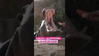 Puebla tiene el santuario de animales más bonito de México [upl. by Nnhoj]