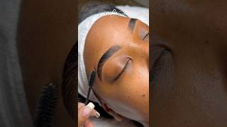 Brow Lamination Tutorial esthetician eyebrows trending sobrancelhas browlamination brows [upl. by Rayham]