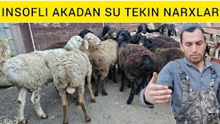 MANA SIZGA ARZONCHI SHOSHILAMIZ INSOFLI AKADAN [upl. by Tiana983]