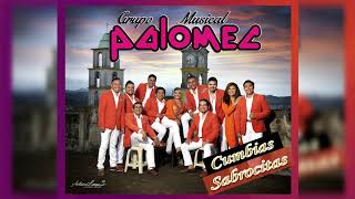 Mix Cumbias Sabrocitas  Grupo Palomec [upl. by Acisset608]