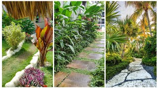 Best outdoor plants for decoration  Latest Pathway plants ideas [upl. by Vaish]