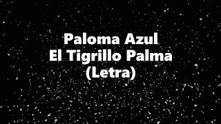 Paloma Azul  El Tigrillo Palma  Letra 🎶 la paloma azul letra tigrillo palma [upl. by Eronaele604]