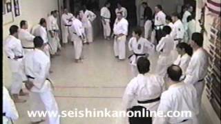 Sherman Harrill Kusanku Bunkai 2 [upl. by Josefa]