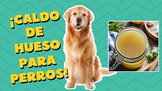 Receta de Caldo de Huesos para Perros 🐾  Beneficios y Preparación Paso a Paso [upl. by Ylus]