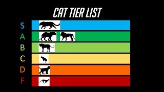 The Cat Tier List [upl. by Derwin]