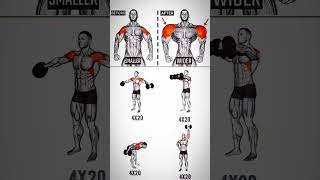 shoulder and back sholder exercise  v shaped back exercises  4 best shoulder exercises  shorts [upl. by Gnahk]