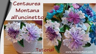 Centaurea Montana Fiore alluncinetto fioriuncinetto centaureamontana flowerscrochet fiori [upl. by Bloom492]