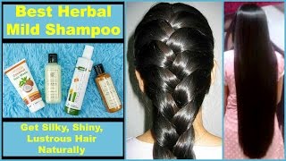 Best HERBAL amp MILD Shampoos  Natural amp Chemical Free [upl. by Ulick]