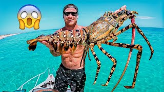 Can I Cook Giant Lobster Using The Sun  YBS Youngbloods [upl. by Neyuq]