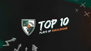 TOP10 Zalgiris moments from the second part of 20182019 EuroLeague season [upl. by Early]