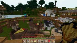 Lets Play Minecraft  Hühnerstall  078 HD [upl. by Marlow]