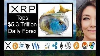 XRP Taps 53 Trillion Forex Market NEW Euro Exim Ripplenet Video HSBC ADA amp TRX Update [upl. by Matronna85]