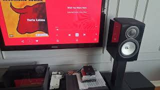 Fosi V3  Steinberg UR22 MK2  Monitor Audio Silver RX2 [upl. by Adile]