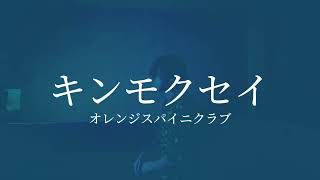 【また歌ってみた】キンモクセイオレンジスパイニクラブ [upl. by Oguh]