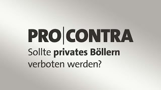 Pro und Contra Sollte privates Böllern verboten werden [upl. by Thin]