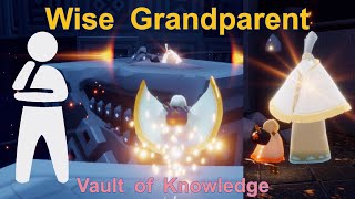 Sky Quest  Relive this spirit memory from Vault of Knowledge  Wise Grandparent Wise Stance [upl. by Naujahs487]