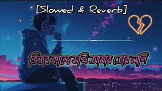 ভিতর কান্দে সখি আমার তোর লাগি Bangla Lofi Song lofi Vitor kande shokhi amar Slowed amp Reverb Song [upl. by Derte493]