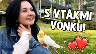 Išla som PO ROKU vonku s VTÁKMI 🦆 [upl. by Sloatman862]