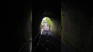 Bay of Plenty  Karangahake Gorge Historic Walkway [upl. by Furnary917]